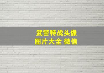 武警特战头像图片大全 微信